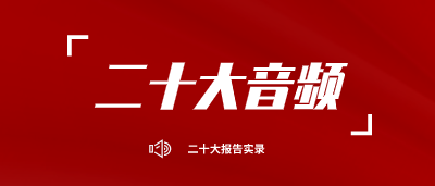 二十大音频